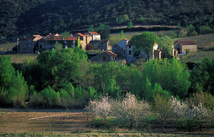 Haut Languedoc