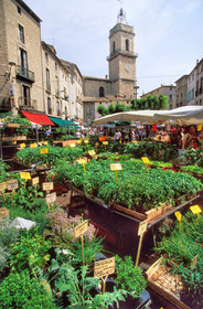 Pezenas