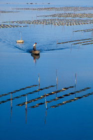 Etang d'Ingrill