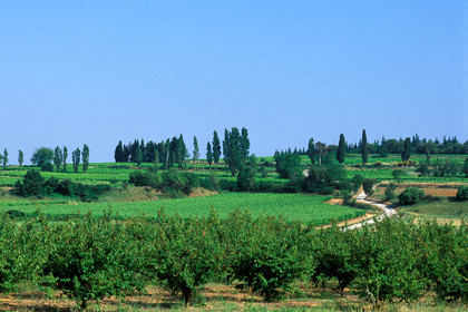 Côtes du Rhone