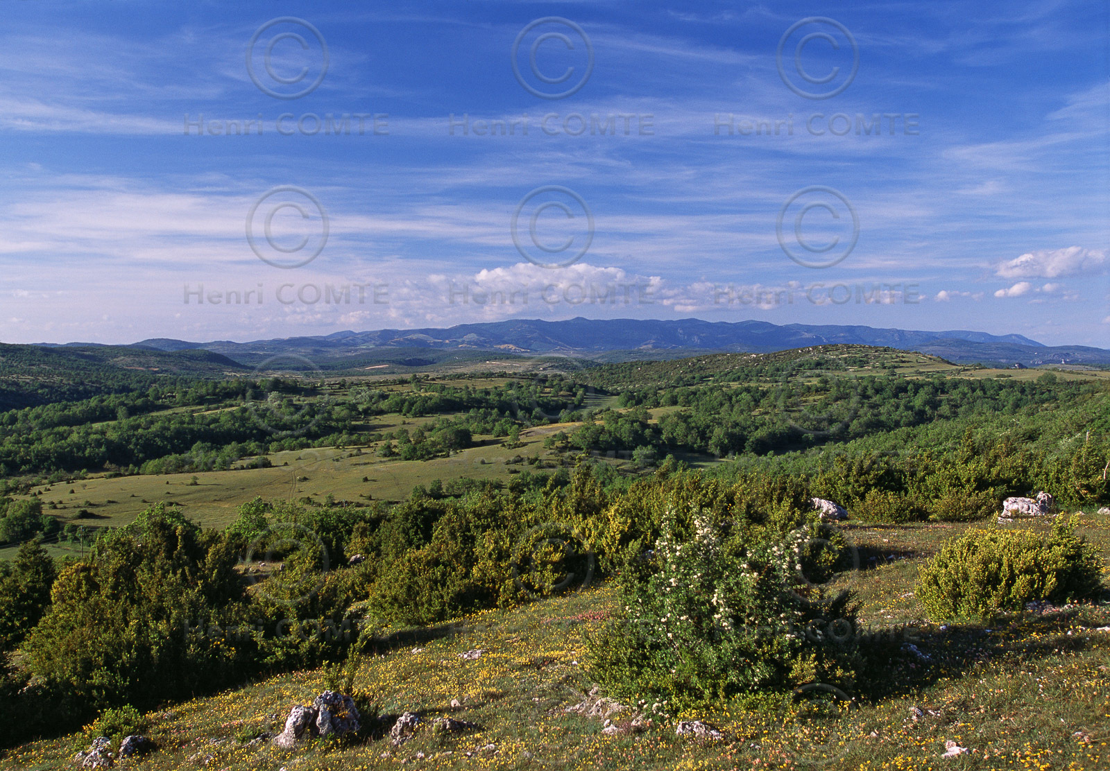 Causse du Larzac