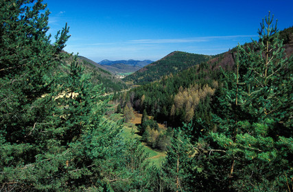 Vallée de l'Aude