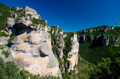 Gorges de la Jonte