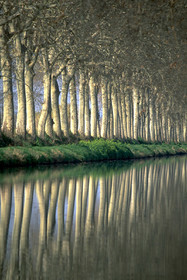 Le canal du Midi