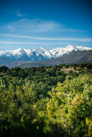 Le Canigou