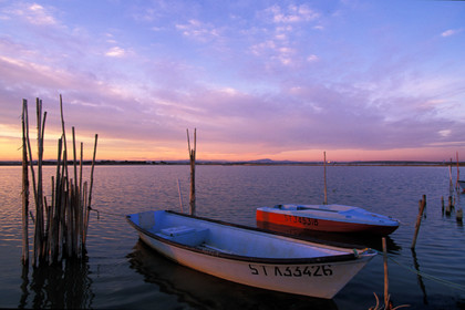 Etang de l'Arnel - Hérault