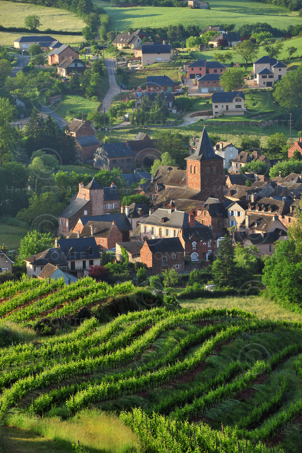 Vignoble de Marcillac