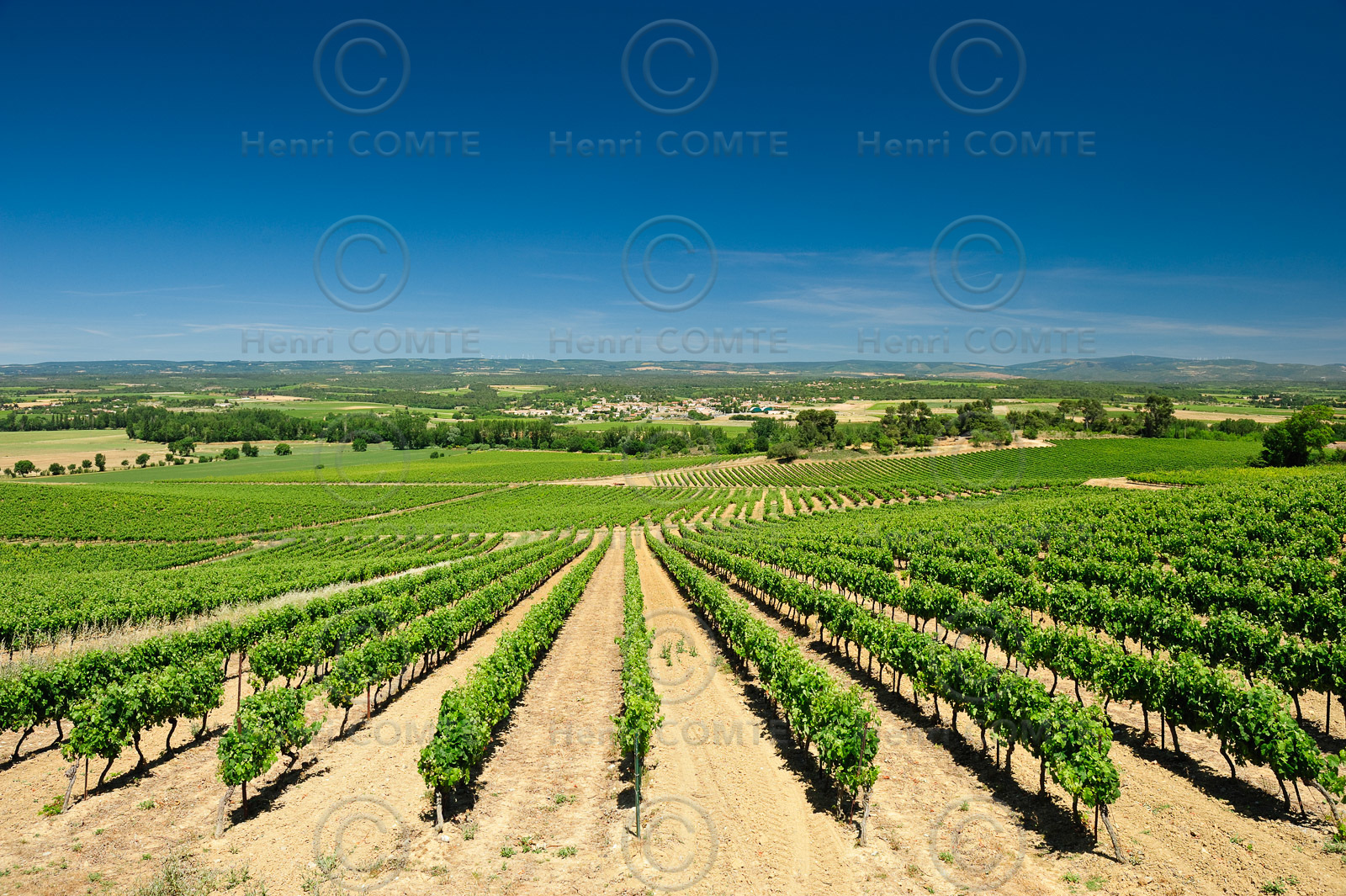 Vignoble de Cabardès