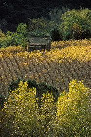 Vignoble Saint Chinian