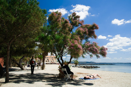 Mèze