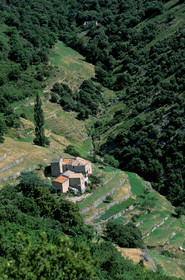 Cévennes
