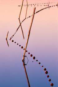 Capéchade
