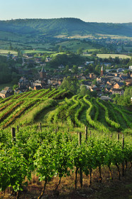 Vignoble de Marcillac