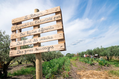Jardin potager