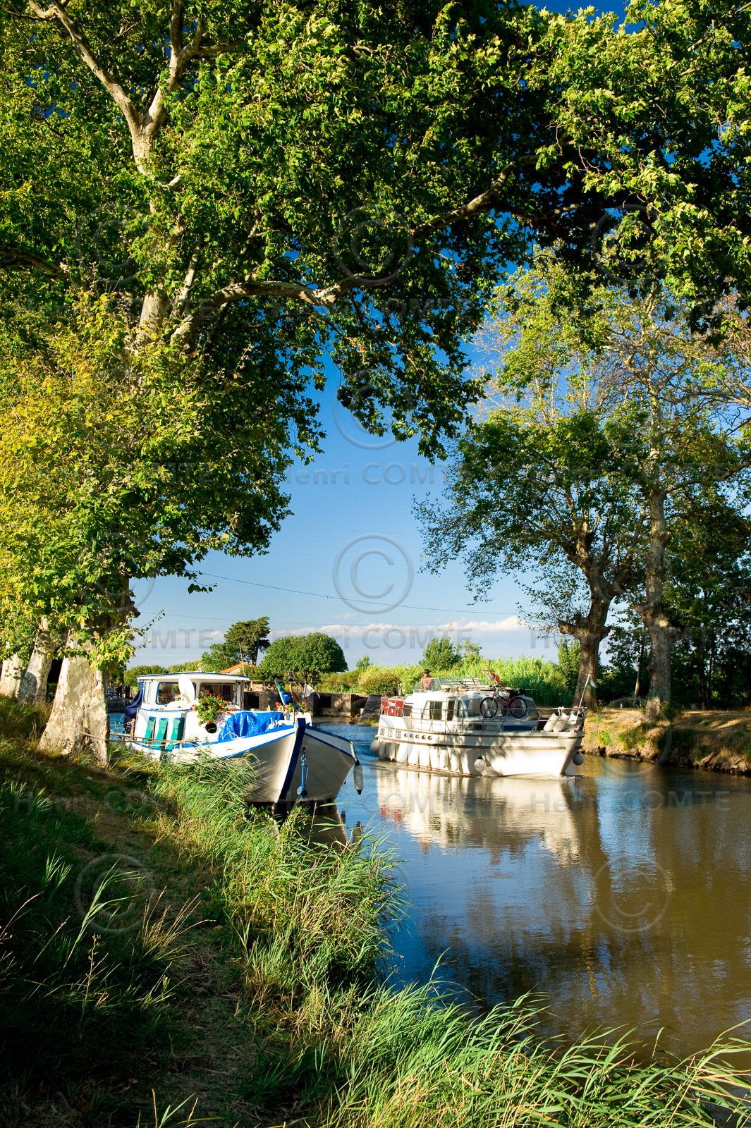 Le canal du Midi