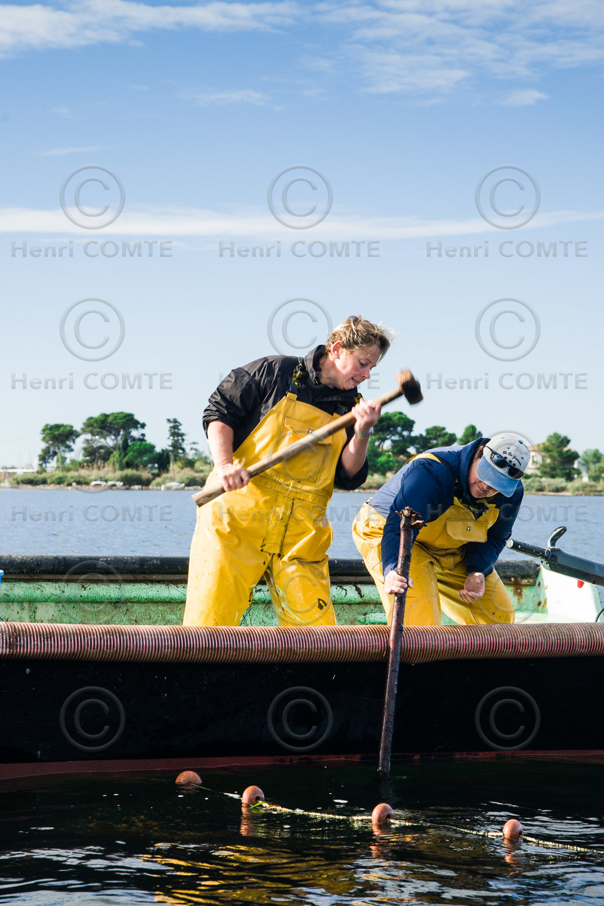 Pêche étang de thau