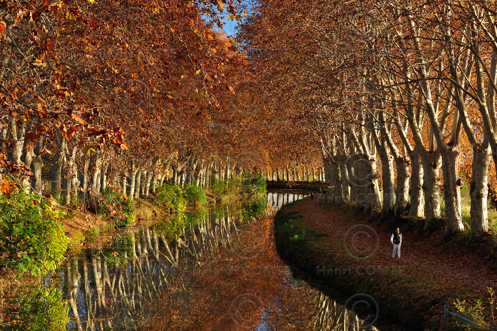Le canal du Midi