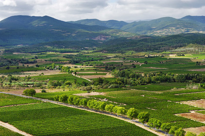 Vignoble Saint Chinian
