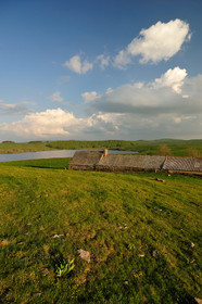 L'Aubrac