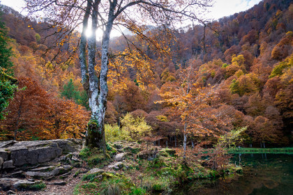 Lac de Betmale