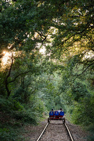 Pedalorail