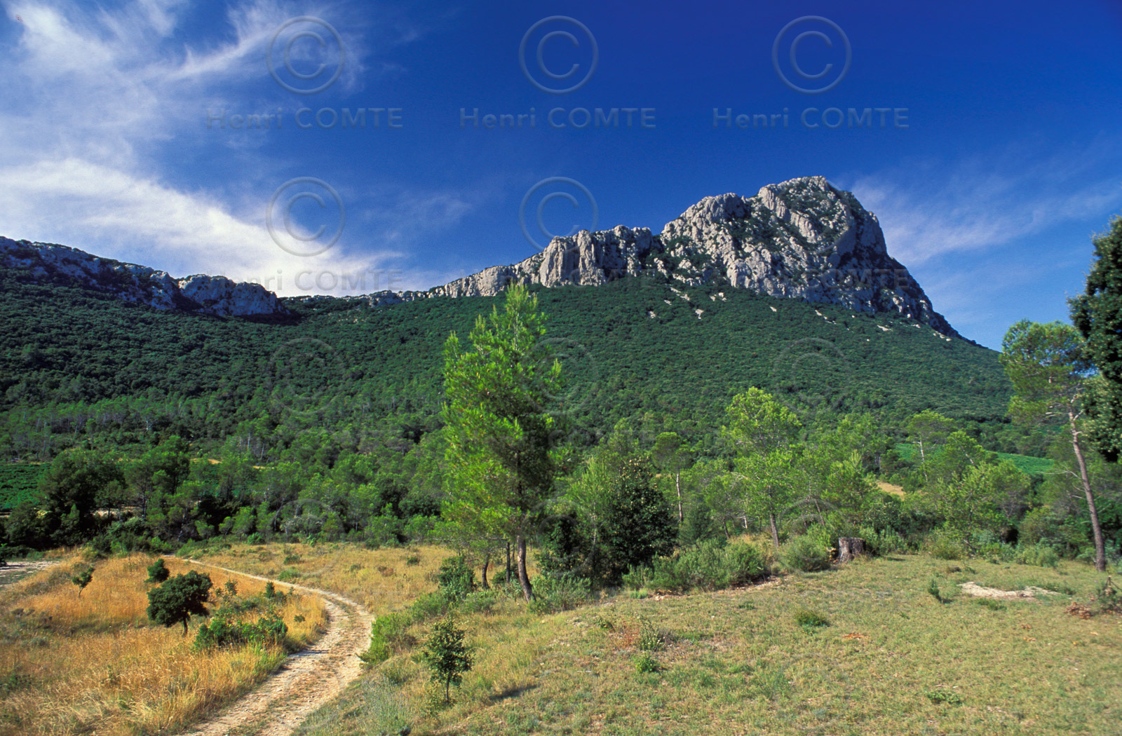 Pic Saint Loup