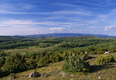 Causse du Larzac