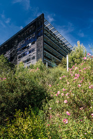Montpellier