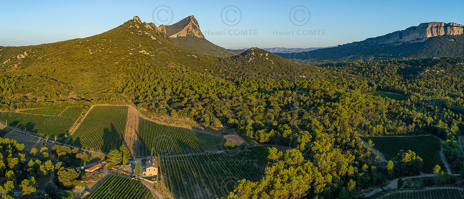 Vignoble Pic Saint Loup