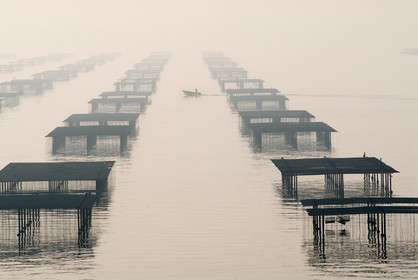 Bassin de Thau