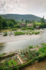 Cevennes