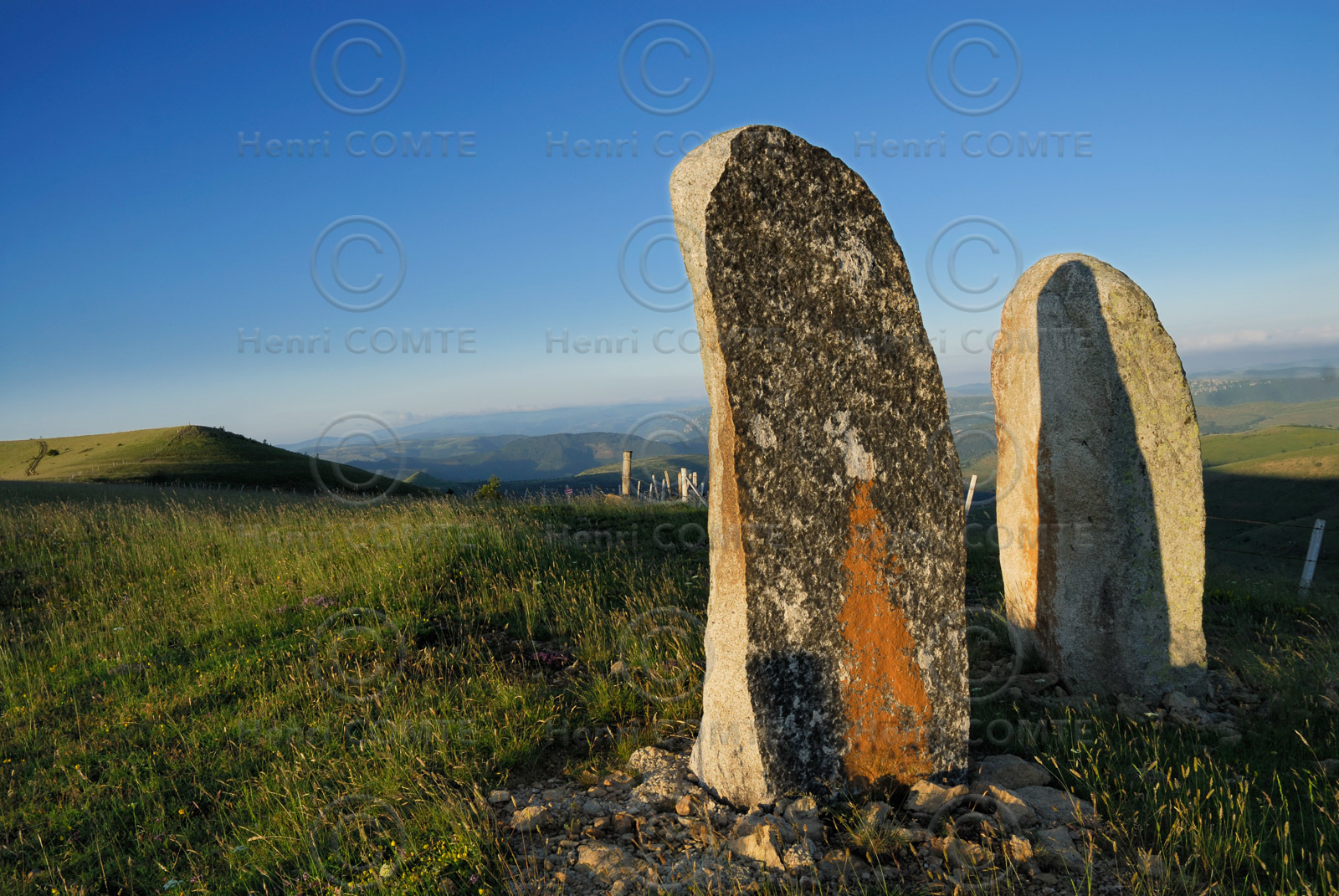 Menhirs en Lozère