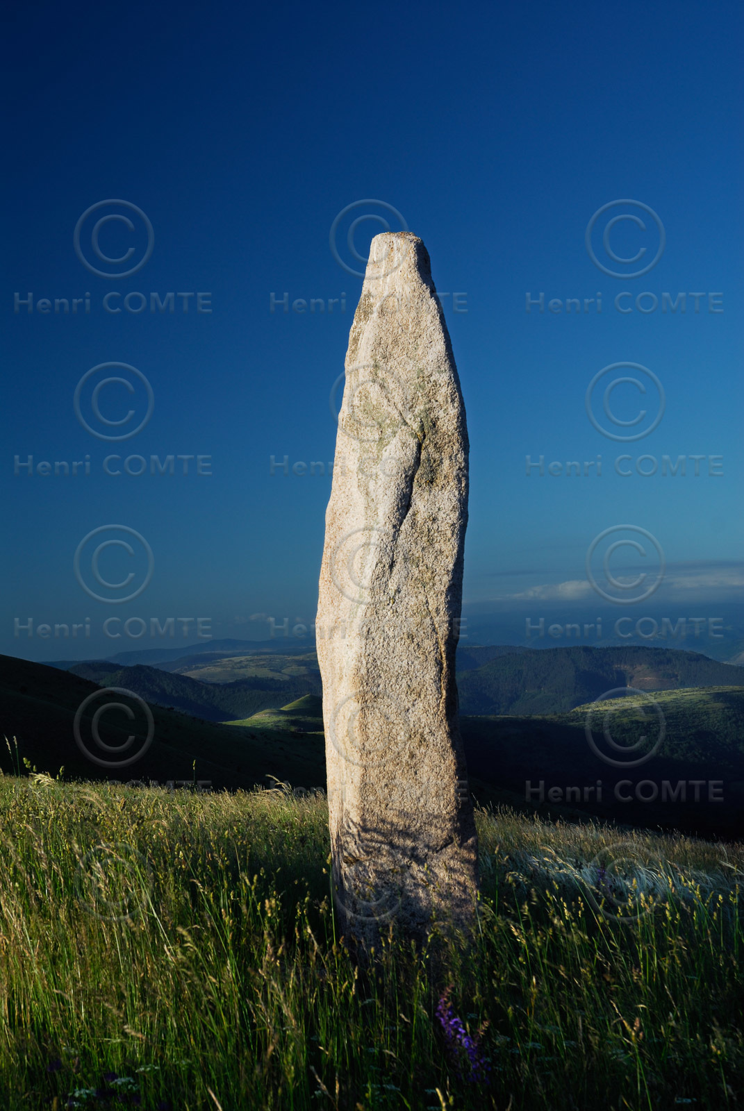 Menhirs en Lozère