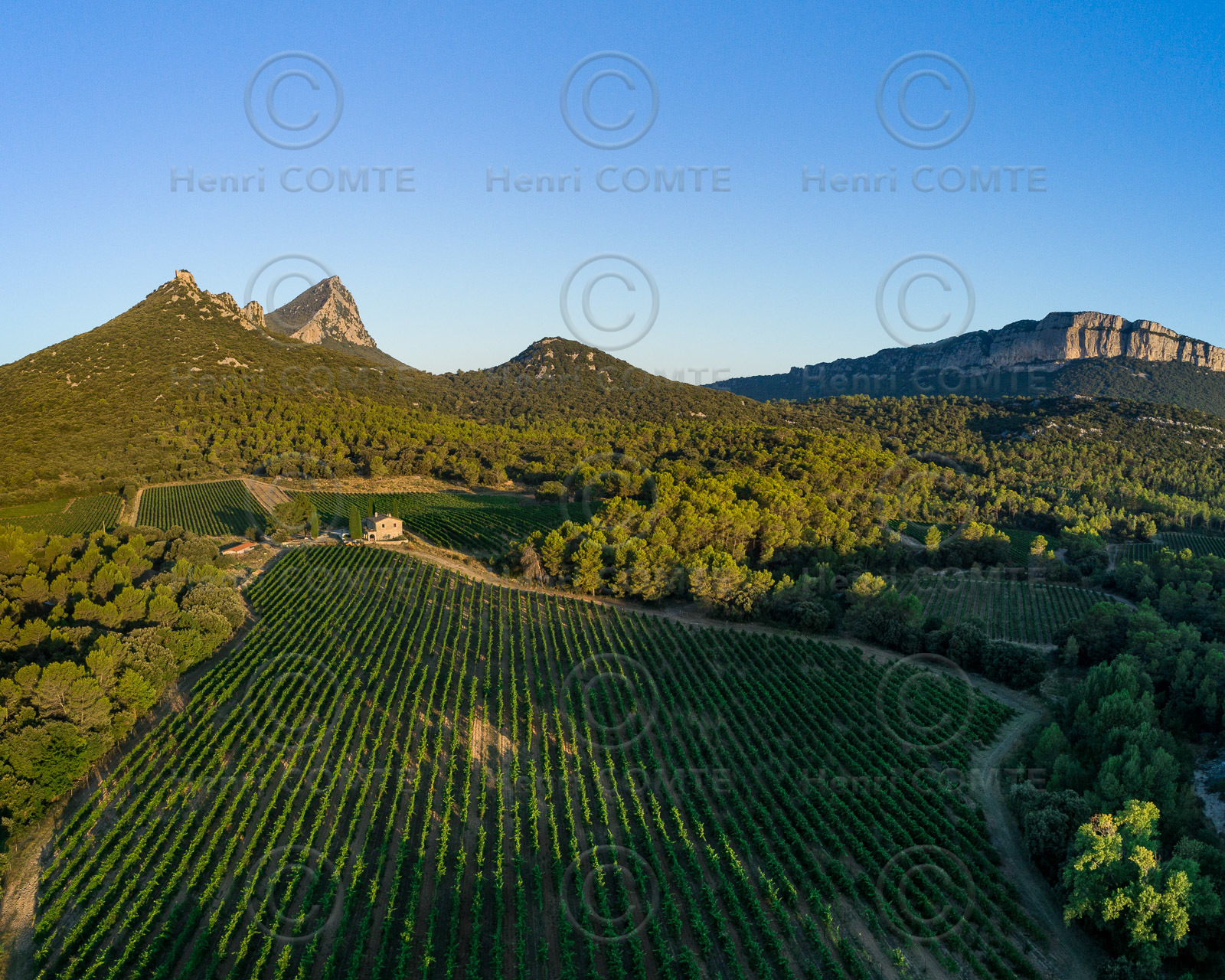 Vignoble Pic Saint Loup