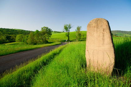 Statue Menhir