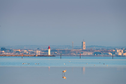 Etang de Thau