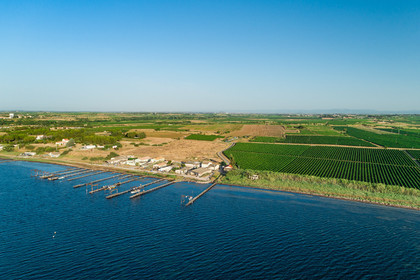 Etang de thau