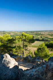 Oppidum d'enserune