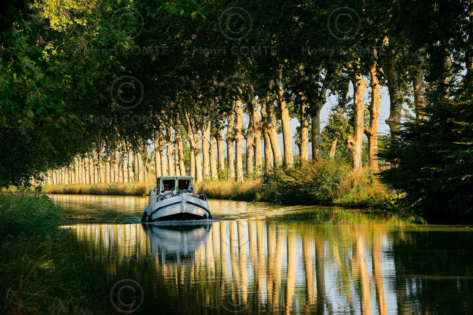 Canal du midi