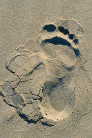 Trace de pas