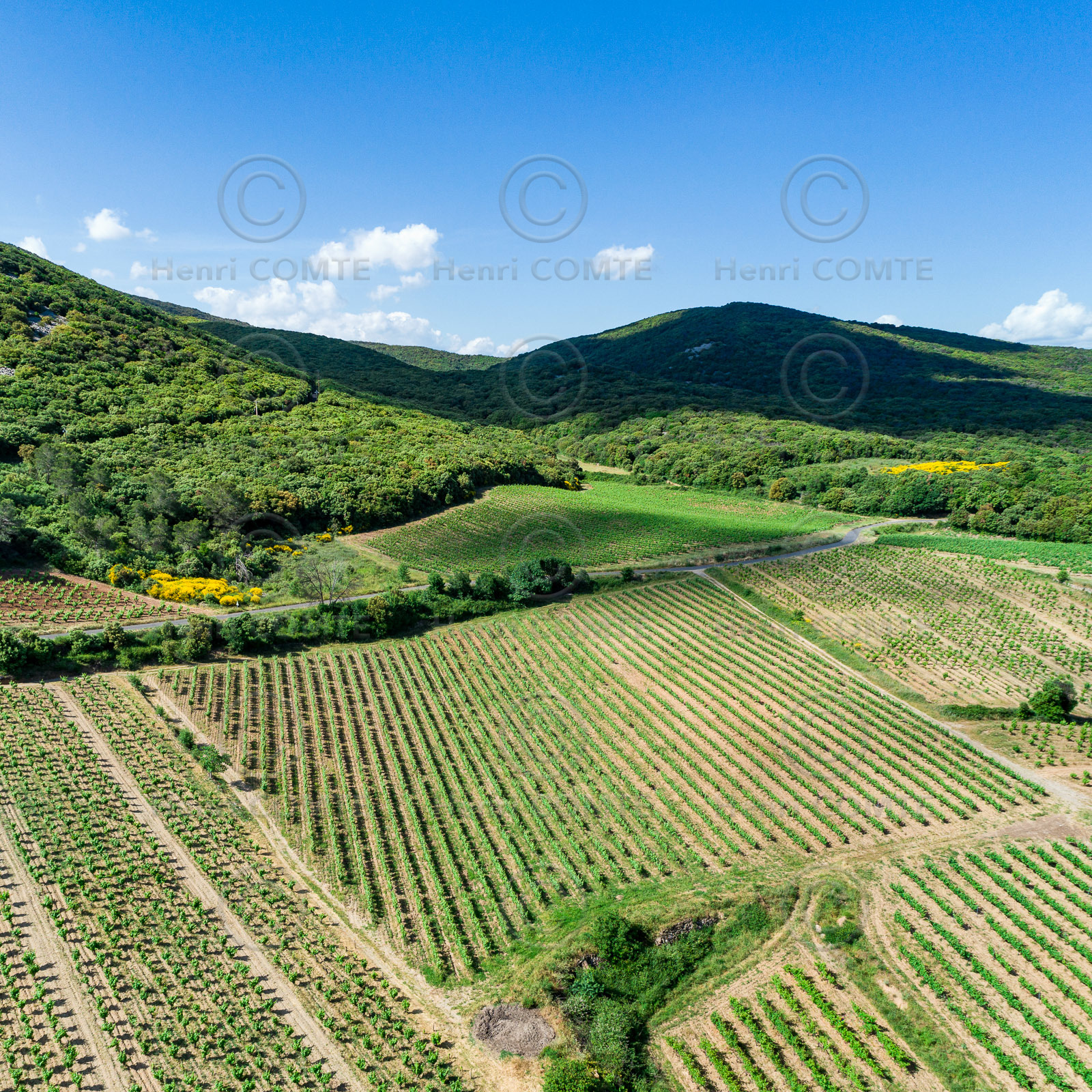 Vignoble de Faugères