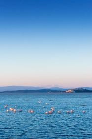 Etang de Bages