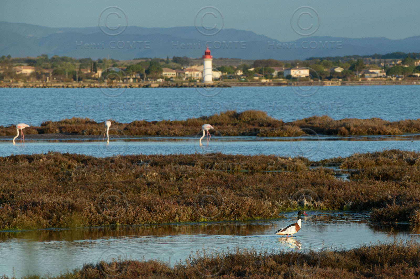 Marseillan et l'étang