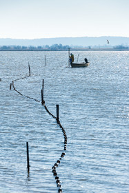 Etang de Bages
