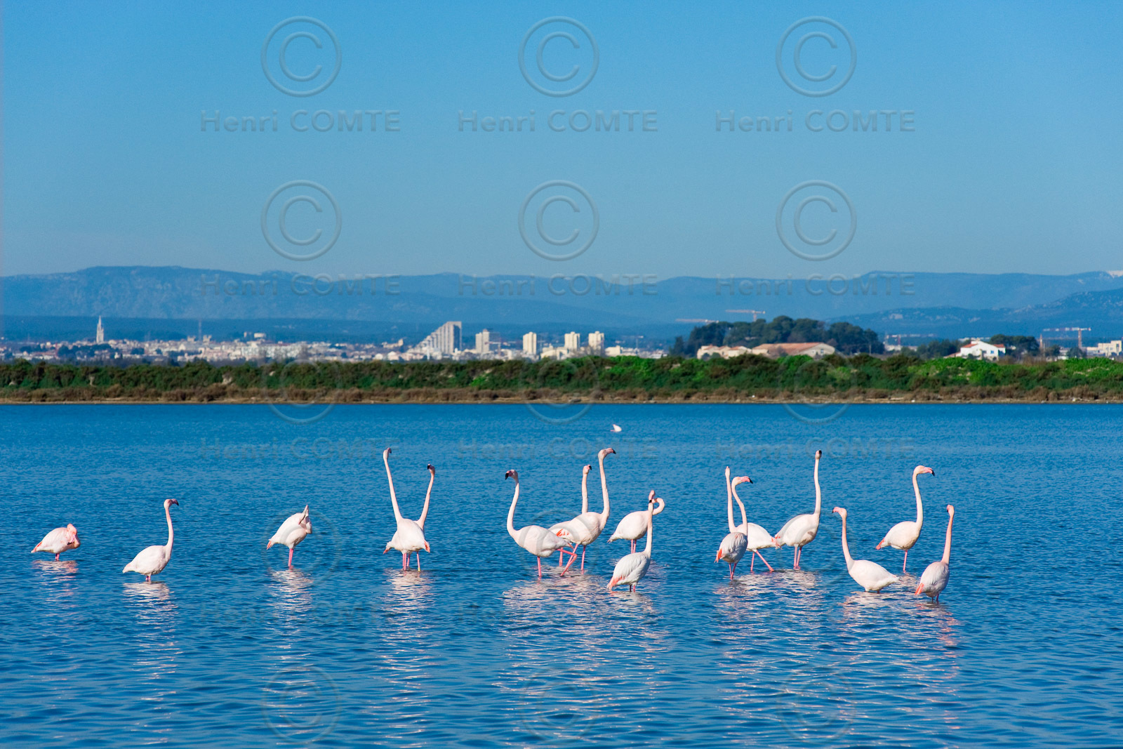 Etang et Montpellier