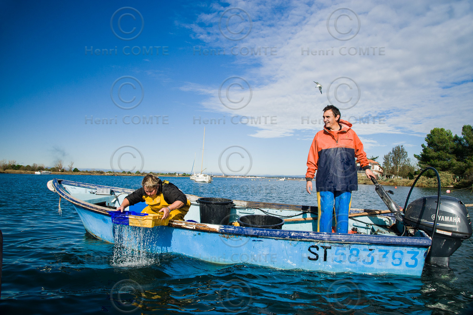 Pêche étang de thau