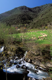 L'Hérault