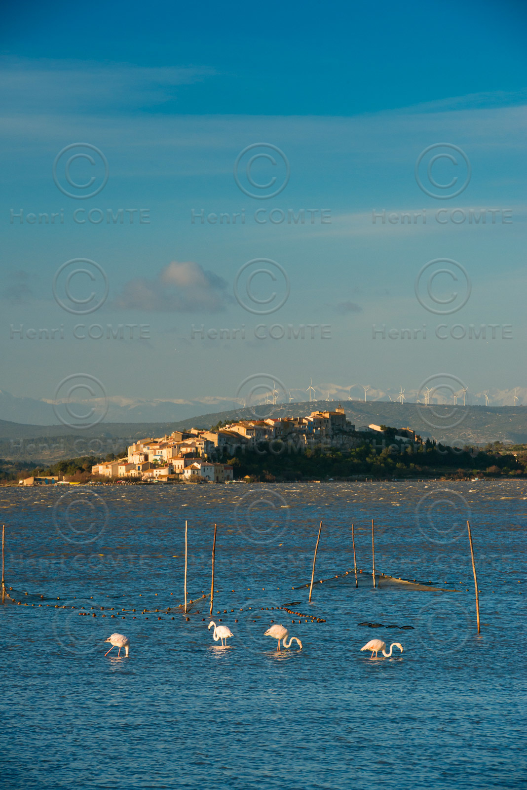 Etang de Bages Sigean