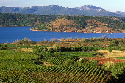 Vignoble du Salagou