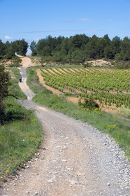 Via Domitia